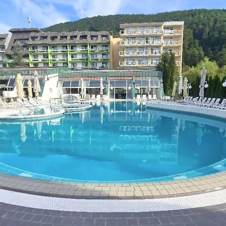 Hortenzija Near Terme *