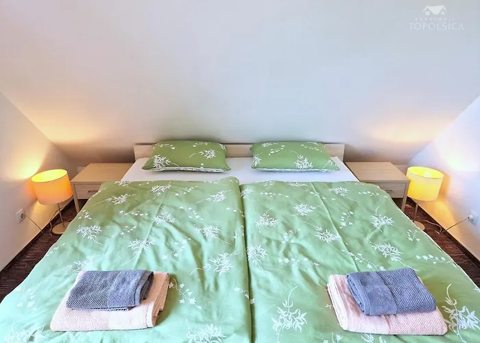 Hortenzija Near Terme *