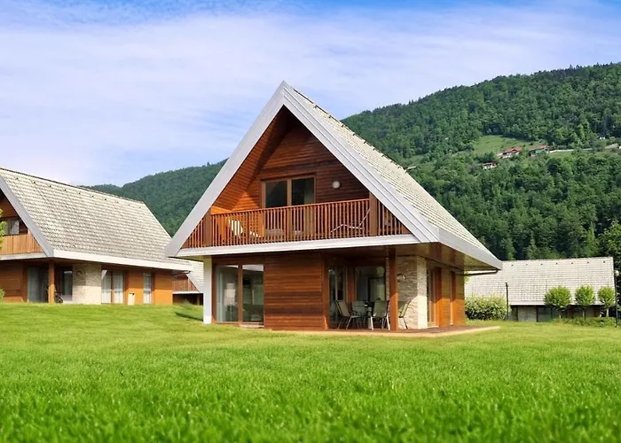 Hortenzija Near Terme Topolšica